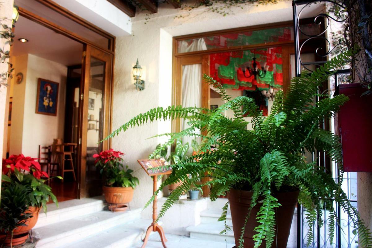 Hotel Maela Oaxaca Kültér fotó